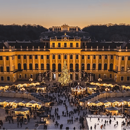 Weihnachtsmarkt Schloss Schönbrunn 2026 bei Nacht mit Christbaum
